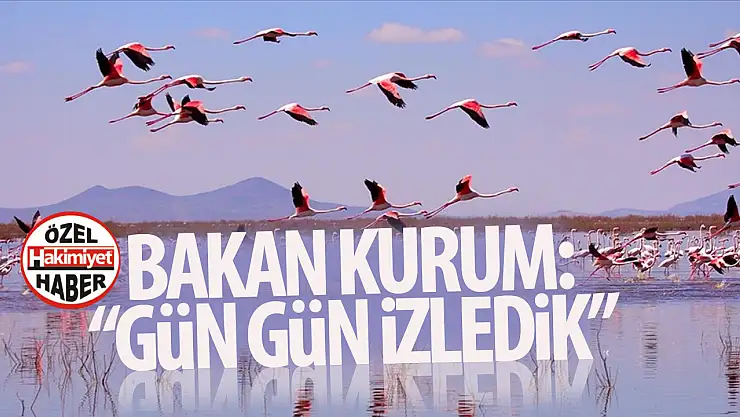 Bakan Kurum Konya'daki o canlılar için dikkat çeken paylaşım yaptı: 'gün gün izledik'