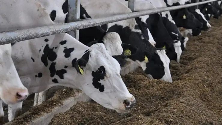 Bakan Yumaklı açıkladı: 80 milyon lira hibe desteği verilecek!