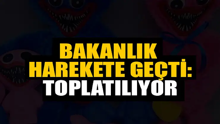 Bakanlık harekete geçti: Oyuncaklar toplatılıyor