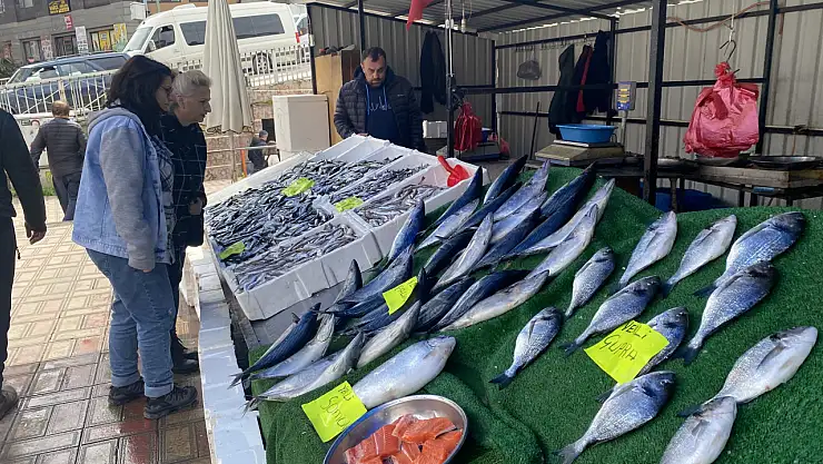 Balık tezgahlarında yoğun ilgi