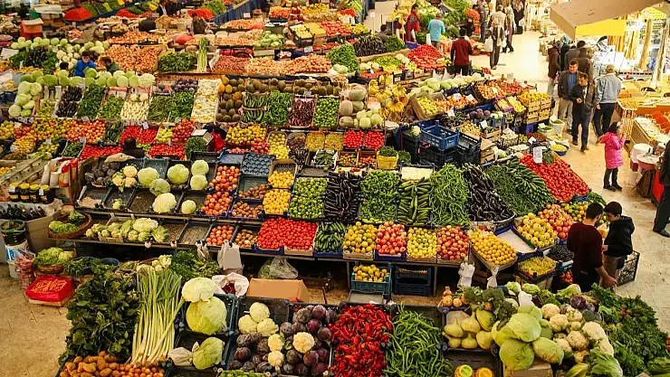 Bamya ve İncir Halin Şampiyonu