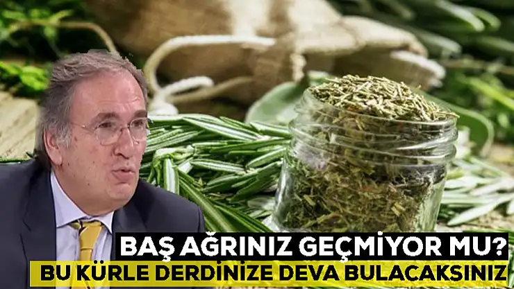 Baş ağrınız geçmiyor mu? Bu kürle derdinize deva bulacaksınız