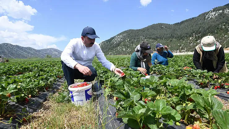 Başkan Altay, 'Çiftçilerimizin ve üreticilerimizin yanında olmaya devam edeceğiz'