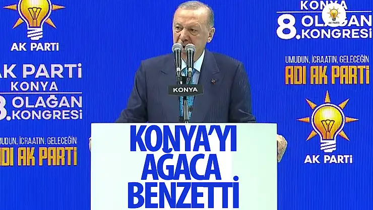 Başkan Erdoğan'dan Konya ya Ağaç benzetmesi