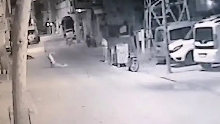 Bayıltana kadar dövüp yol kenarında bıraktı