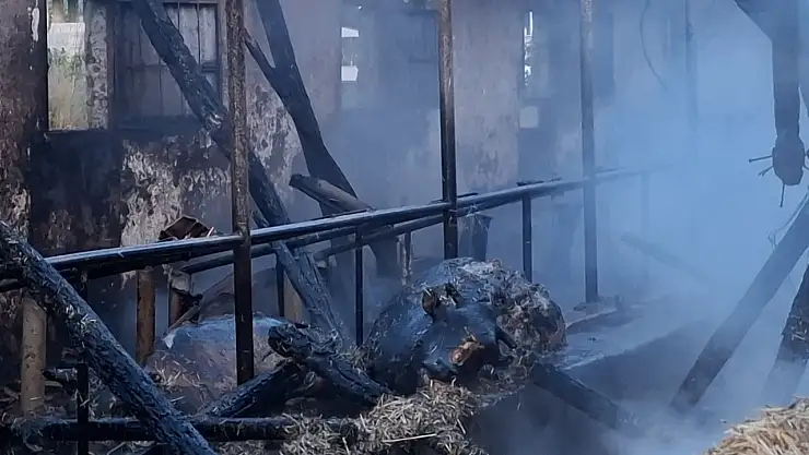 Bayram öncesi feci olay: Ahırda çıkan yangında satışı yapılan 16 büyükbaş telef oldu