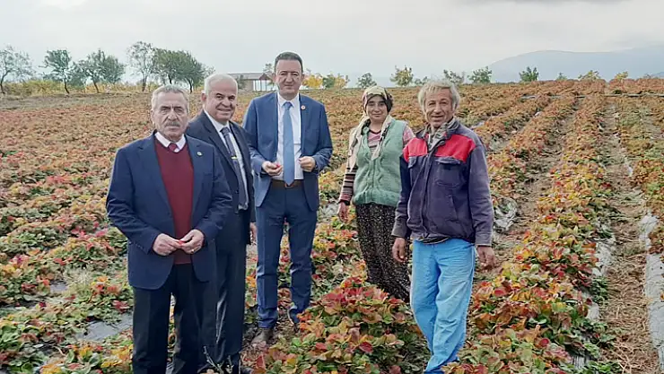 Bektaş'tan çiftçilere destek