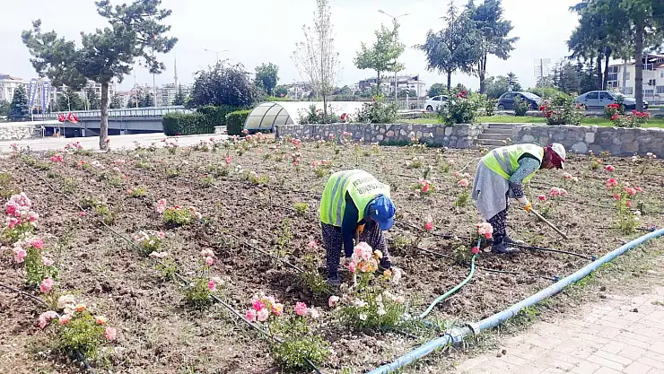 Belediyenin Kadın Çalışanları Çevreyi Güzelleştiriyor