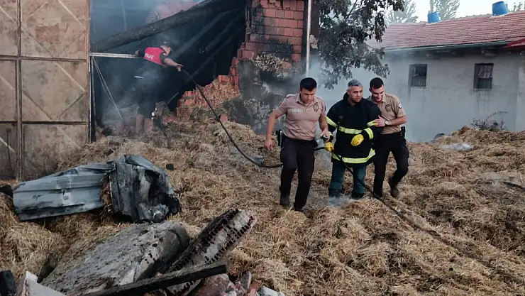 Besi yangınında 5 hayvan telef oldu!