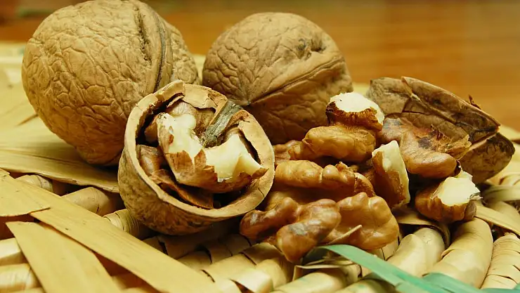 Beyine Benzetilen Cevizin İnanılmaz Faydaları! Hangi Hastalıklara İyi Geliyor? Çok Şaşıracaksınız!