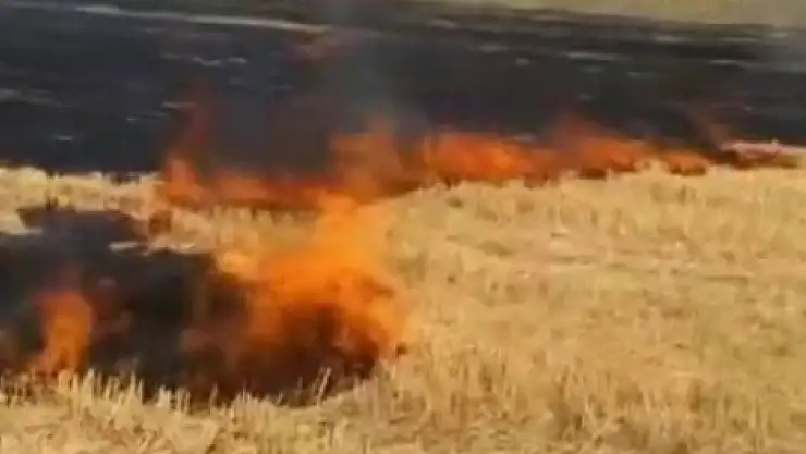 Beyşehir'de 2 farklı noktada çıkan anız yangını korkuttu!