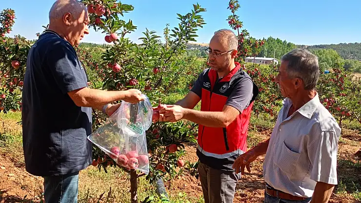 Beyşehir'de elmalarda hasat öncesi pestisit denetimleri sürüyor