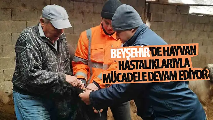 Beyşehir'de hayvan hastalıklarıyla mücadele devam ediyor