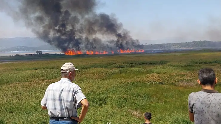 Beyşehir'de korkutan yangın!