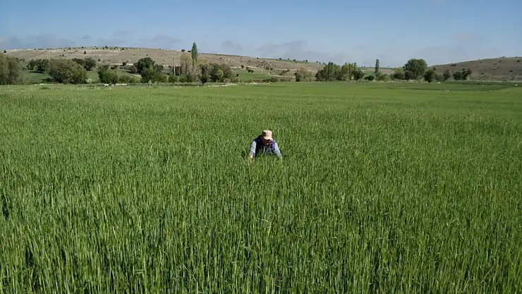 Beyşehir'de meyve bahçeleri sıkı takipte!