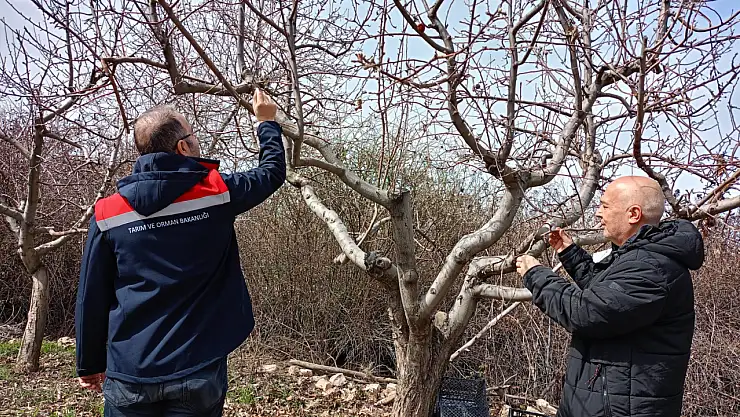 Beyşehir'de üreticiye destek ziyareti: Araziler yerinde incelendi