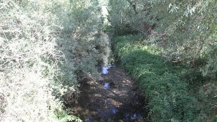 Beyşehir Gölü alarm veriyor!