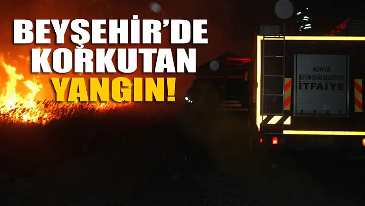 Beyşehir Gölü kıyısında 12 ayrı noktada çıkan yangın söndürüldü