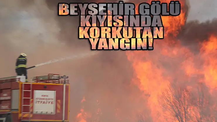 Beyşehir Gölü kıyısında korkutan yangın!
