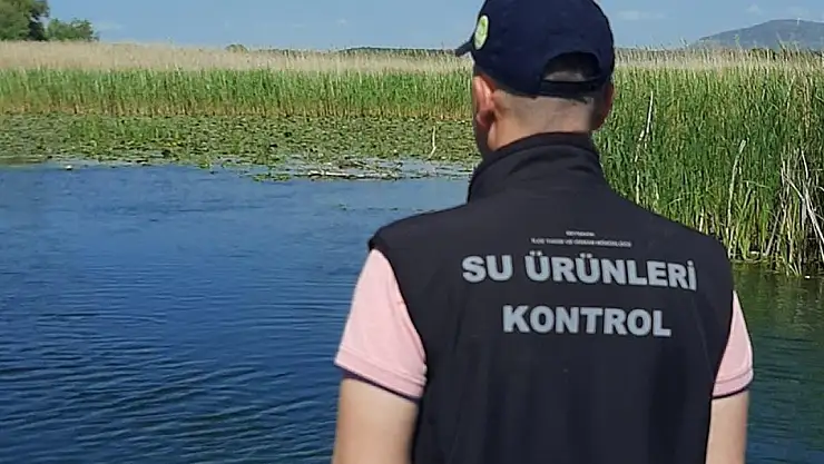 Beyşehir Gölü'nde av yasağının son günlerinde denetimler sıklaştı