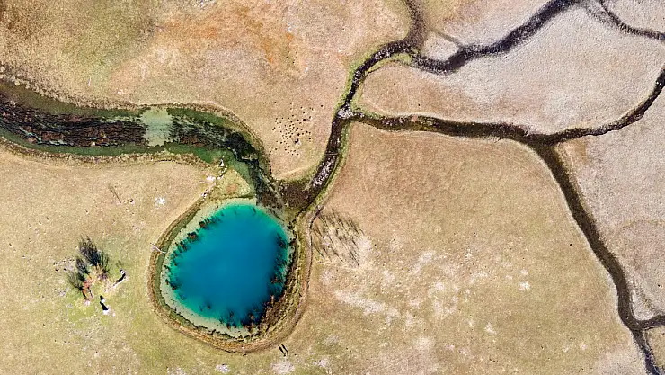 Beyşehir Gölü'nde tehlike çanları!
