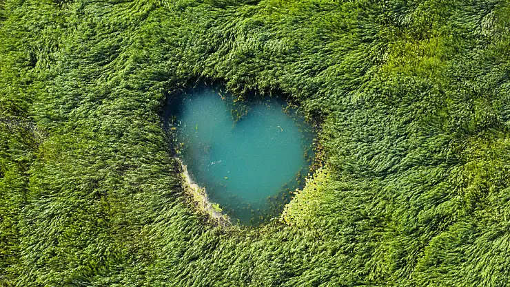 Beyşehir Gölü'nde şaşırtan manzara: Sular çekildi, gözeler ortaya çıktı!