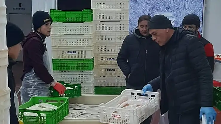 Beyşehir Gölü'ndeki balık popülasyonu denetimlerle korunuyor