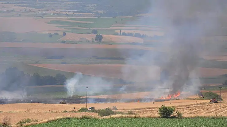 Bir buğday tarlası yangını daha!