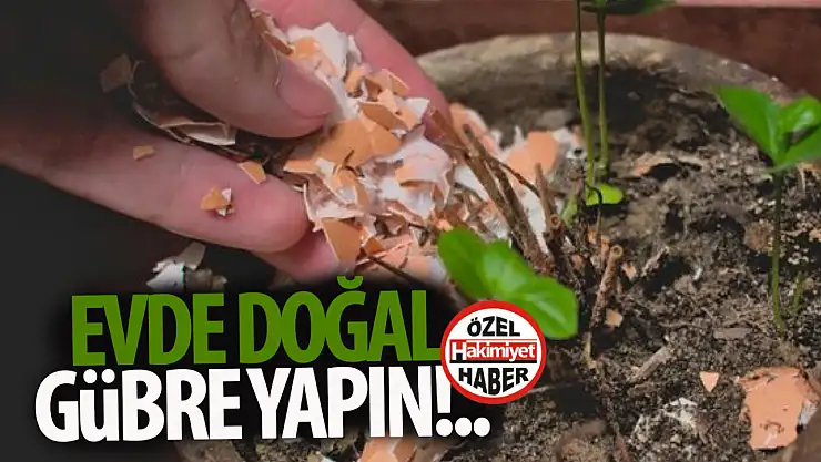 Bitkiler için doğal gübre: Bu yönteme çok şaşıracaksınız