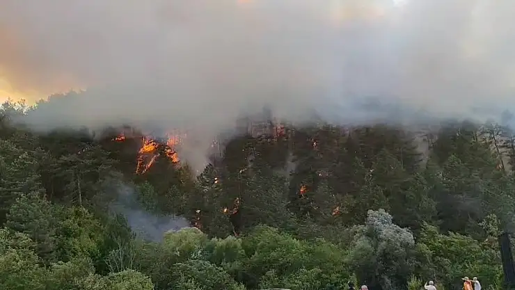 Bolu'da korkutan yangın: Söndürme çalışması devam ediyor!