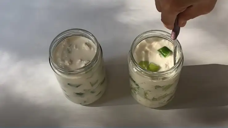 Boşnakların tadına doyulmaz soka turşusu. Sütle yapılıyor 15 günde sofraya geliyor…