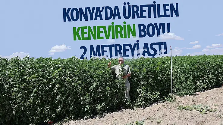 Boyu 2 metreyi aştı
