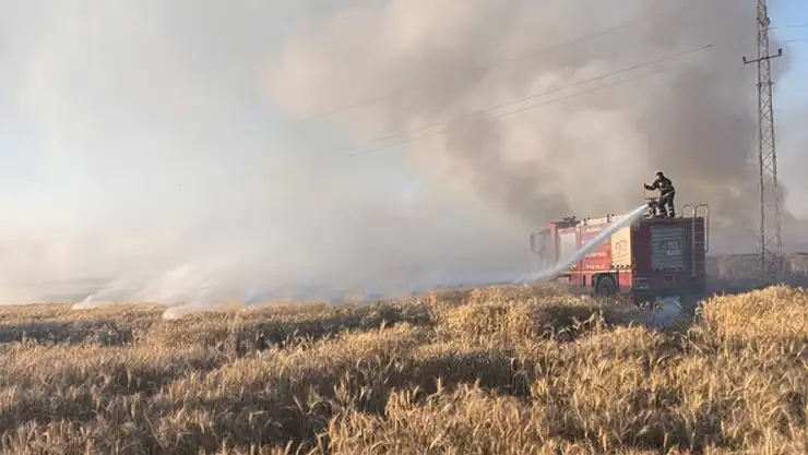 Buğday ekili tarlalar yangına teslim!