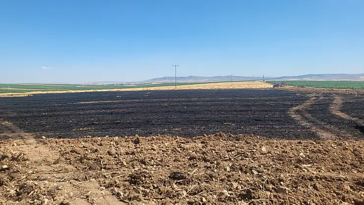 Buğday tarlasında çıkan yangın paniğe neden oldu