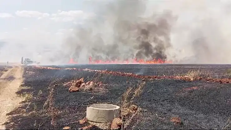 Buğday tarlasında yangın çıktı