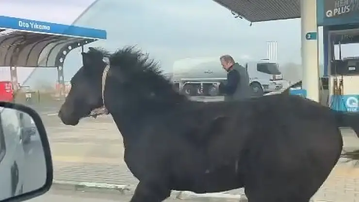  Bursa caddelerinde davetsiz misafir!