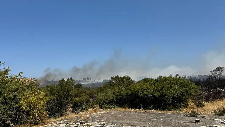 Bursa'da çıkan orman yangınında son durum...