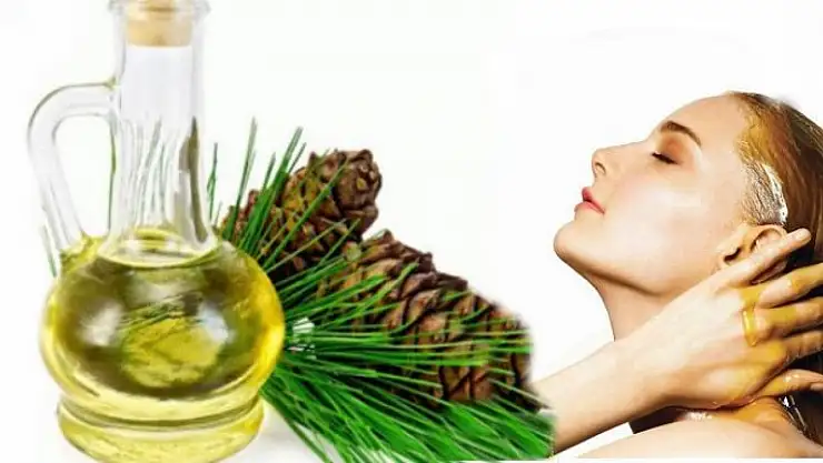 Çam Terebentin Nedir? Çam Terebentin Yağının Faydaları Nelerdir? Çam Terebentin Yağı Nasıl Kullanılır?