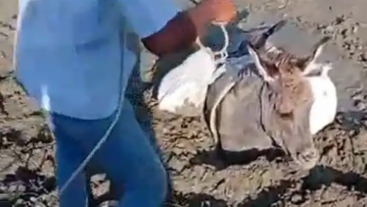 Çamura saplanan eşeğin imdadına köylüler yetişti