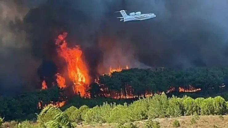 Çanakkale'deki yangın büyük hasara yol açtı!