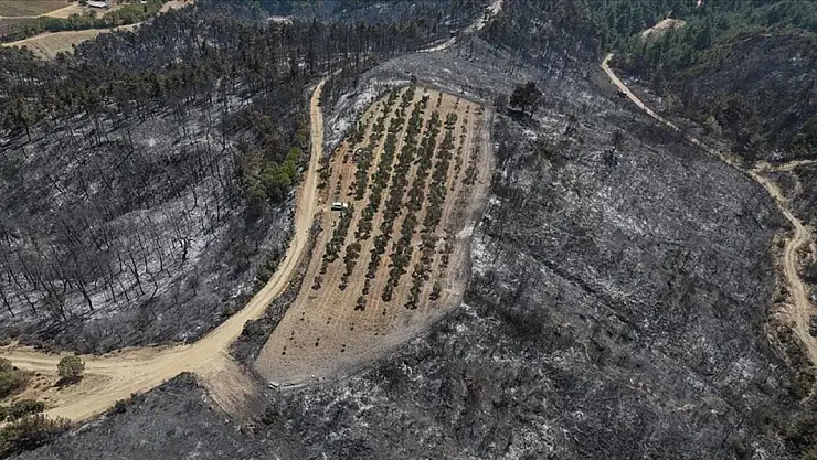 Çanakkale'deki yangından mucizevi Kurtuluş! Tam 150...