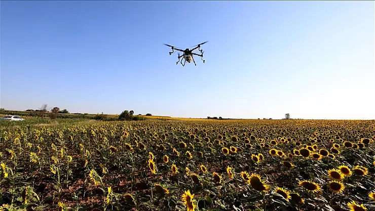 Çayır tırtılı sorunu kontrol altına alındı