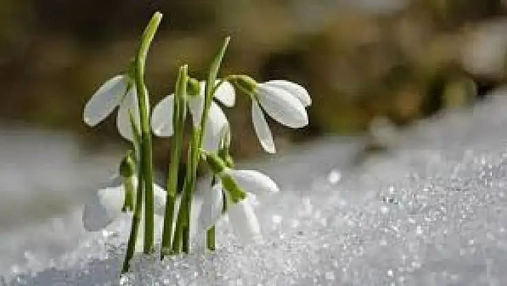 Cemre düştümü? Cemre düşme tarihleri ne zaman, cemre hangi tarihte düşecek?