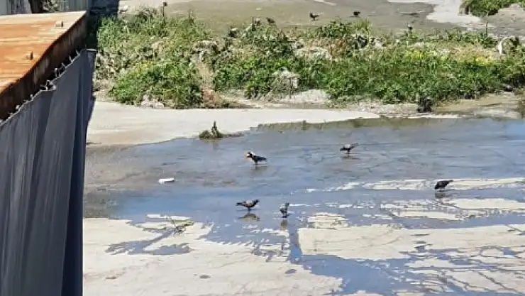 Çevre, Şehircilik ve İklim Değişikliği Bakanlığı'ndan İBB'ye bağlı kuruma şok ceza!