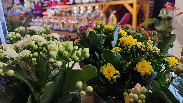 Çiçeklere bu 14 Şubat'ta da rağbet fazla