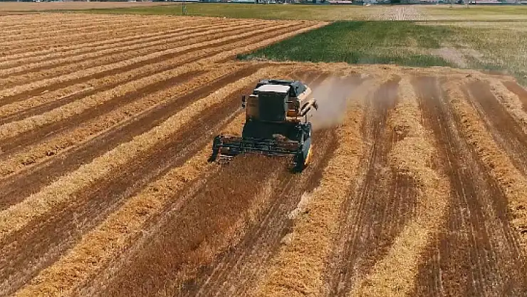 Çiftçiler müjde: Destek ödemeleri hesaplara yatırılıyor!