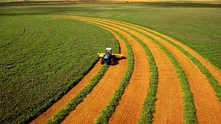 Çiftçilere 2,5 milyar liralık destek ödemesi