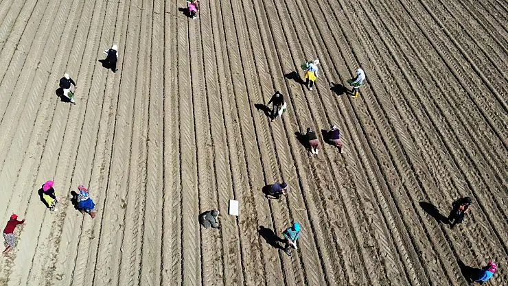 Çiftçilere destek ödemesi yapıldı