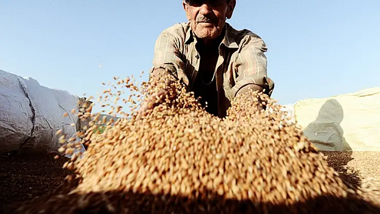 Çiftçiye bir kötü haber daha: O ürünün fiyatlarına yüksek zam yapıldı!