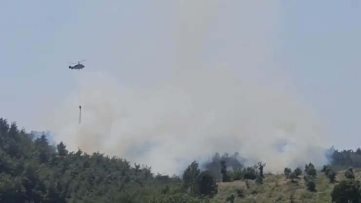 Çıkan orman yangını kontrol altına alındı